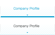 Company Profile